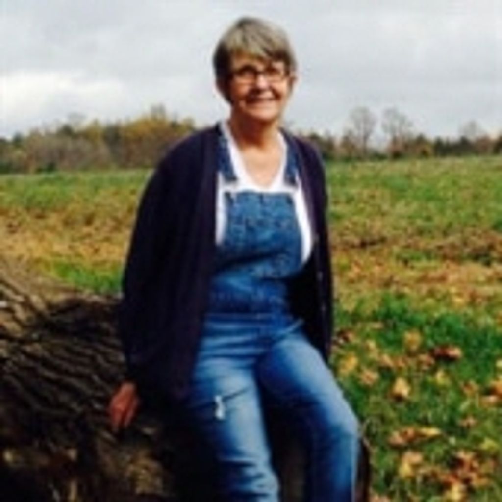 Anna Jean Stark Grimes Profile Photo