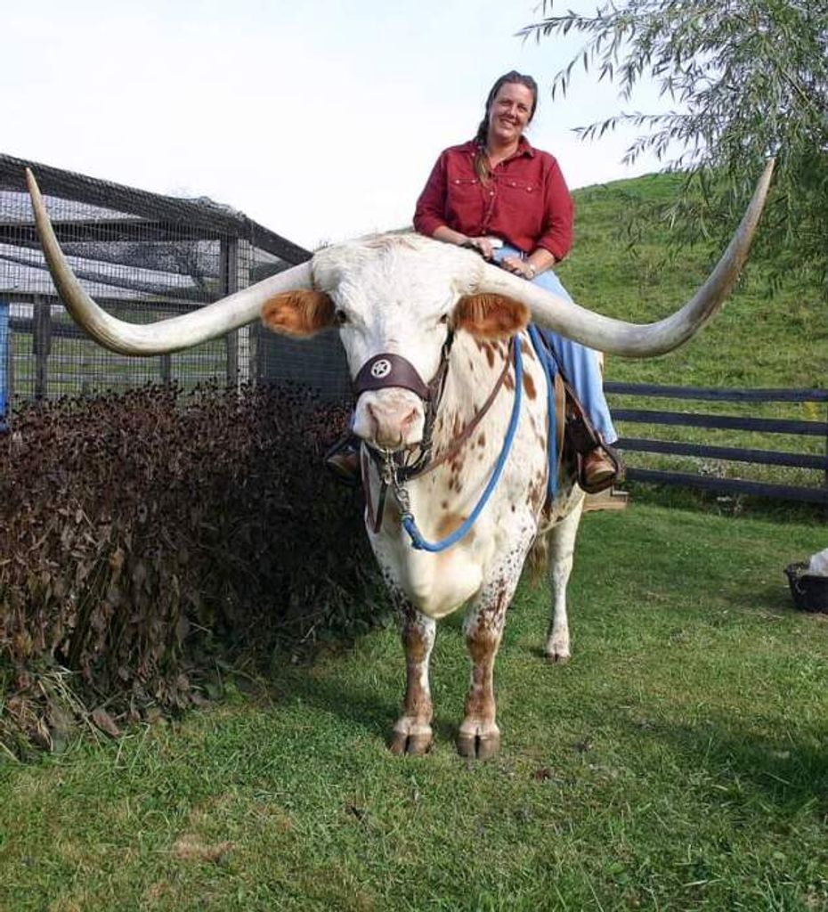 Martha "Marty" Jane Marcum Profile Photo