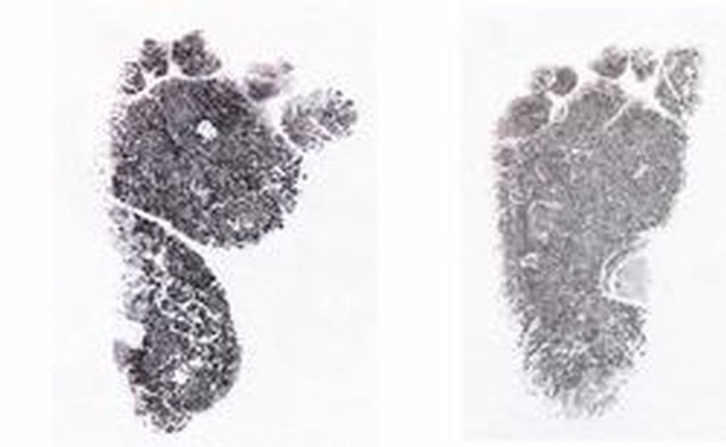 Thomas And William Johnson