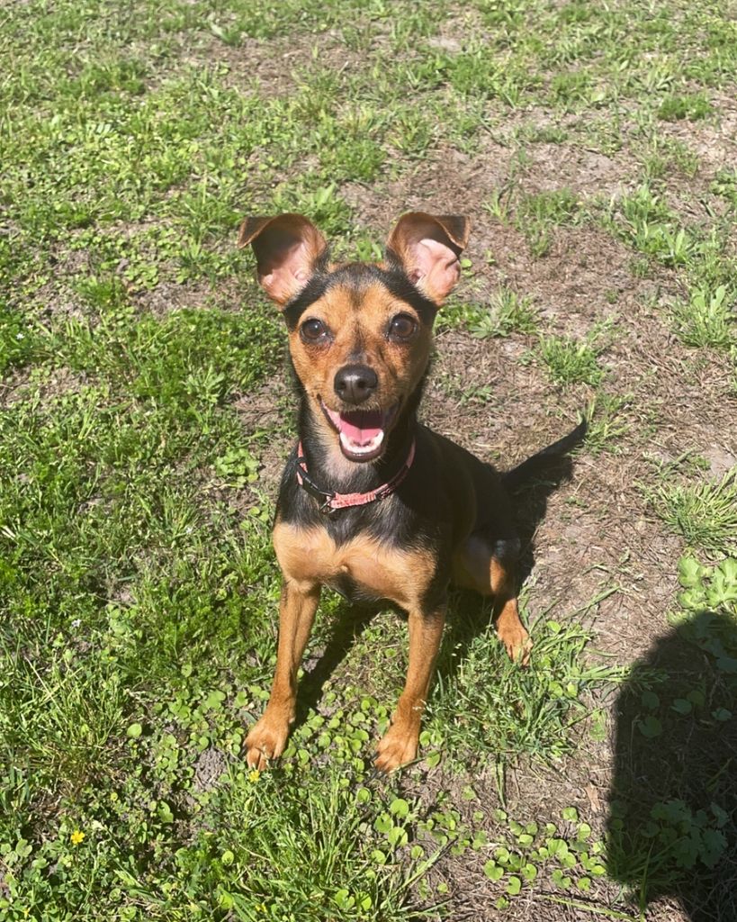 Pepper Pernell Profile Photo