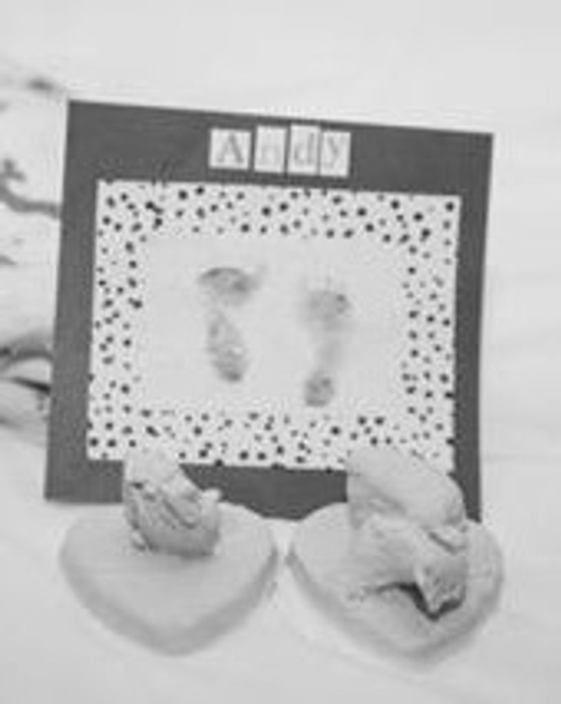 Andy Baruch Patterson