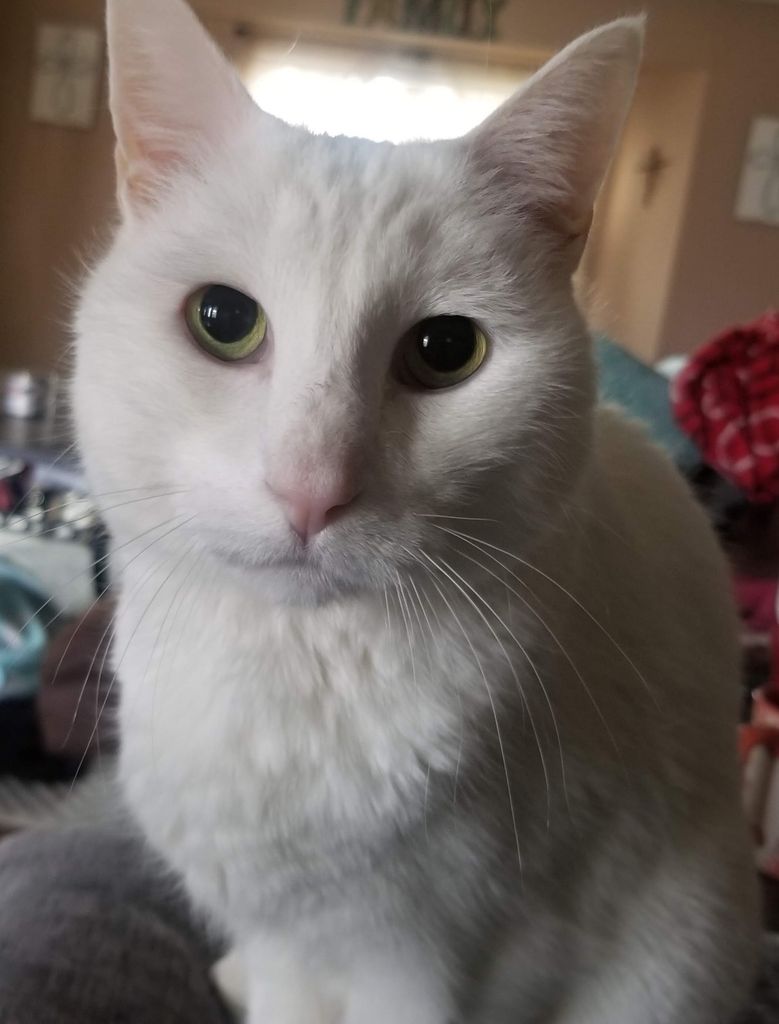 Mighty Profile Photo
