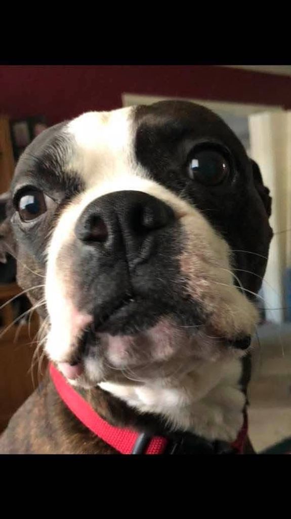 Smudge Profile Photo