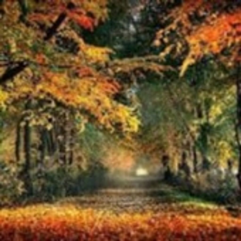 Timothy James Trumphour Sr.