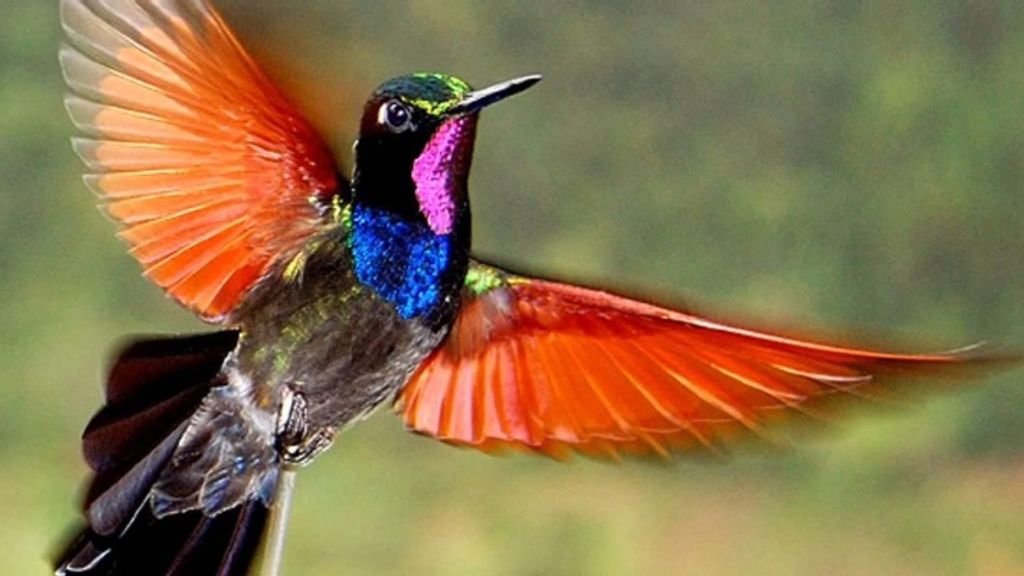 Linda A. Wathen (Nee Cavella)