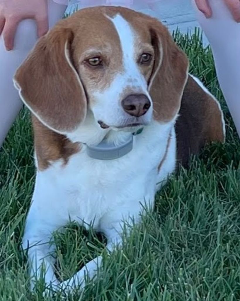 Daisy Schoborg Profile Photo