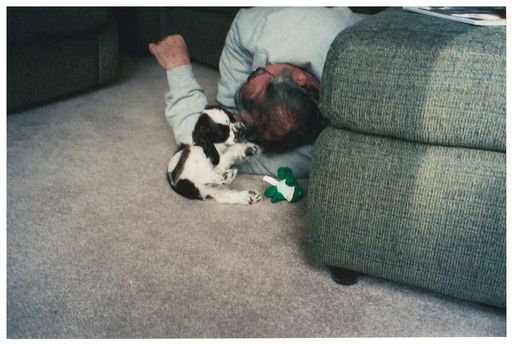 Gary L. Hall photo gallery thumbnail 154 of 354