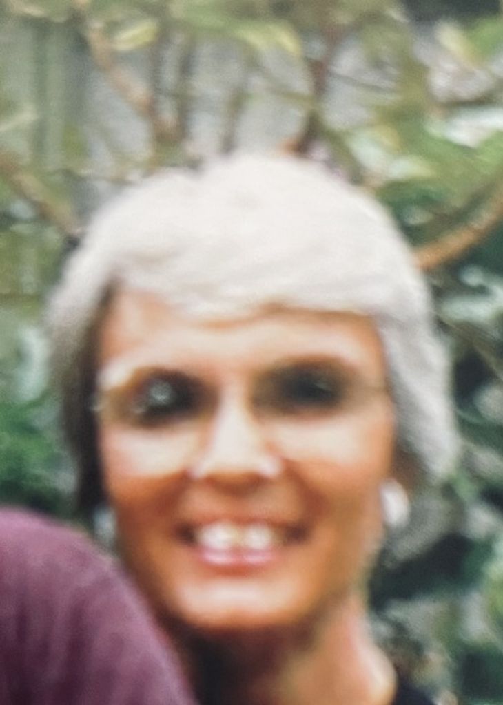 Helen Arlene (Mccook)  Wilkinson