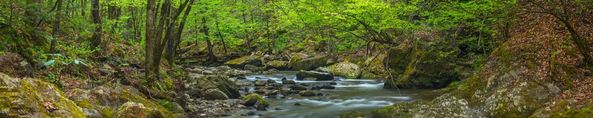 Cover photo for Garvin Wayne Simpson's Obituary