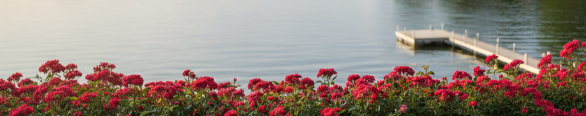 Cover for Elsie R. Selking's Obituary