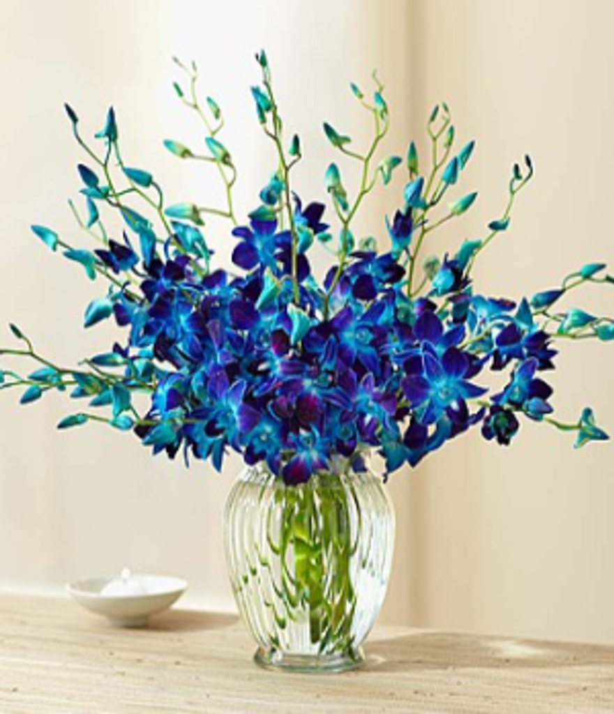 Carolyn Zoller Ritter