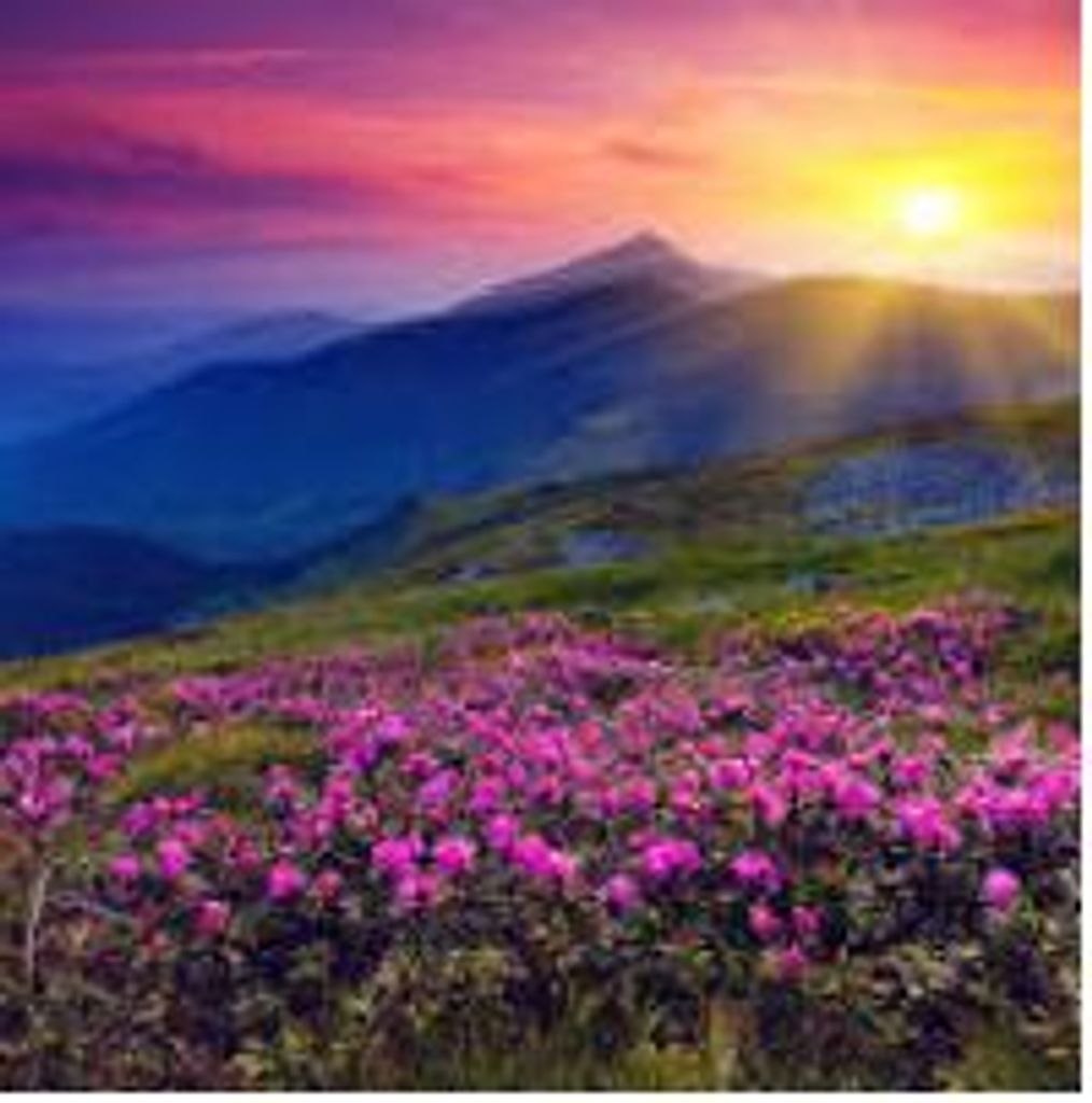 Evelyn RutJames M. Murray  
h Fulkerson (nee Schweizer)