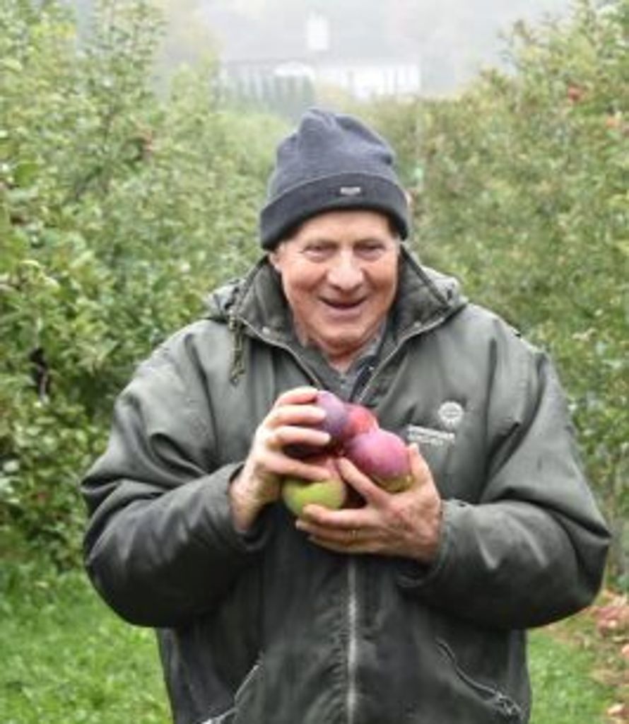 Cirillo Sinapi