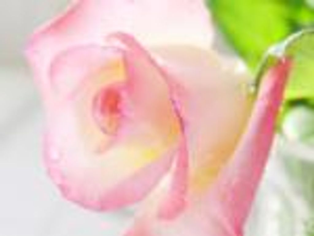 Betty Jean Kupfersmith