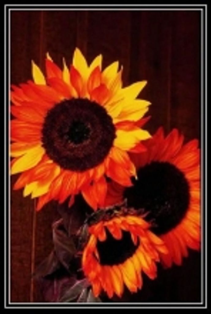 Elizabeth "Betty" Louise Aerni