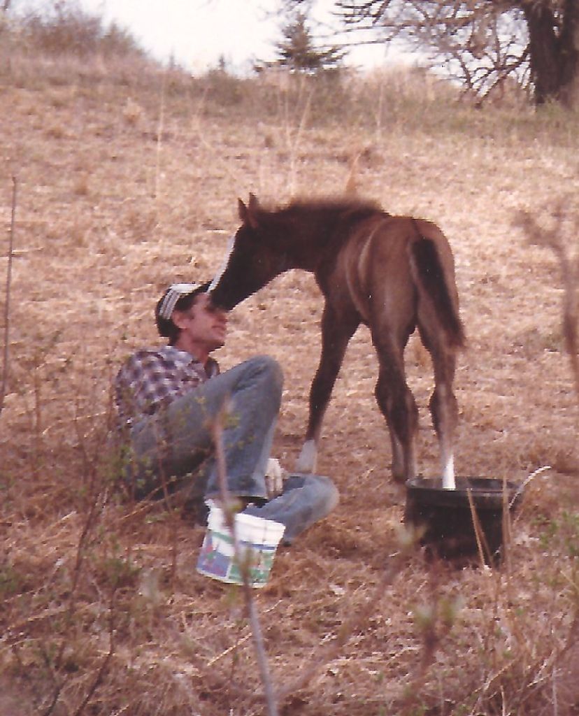 James Francis Haberman
