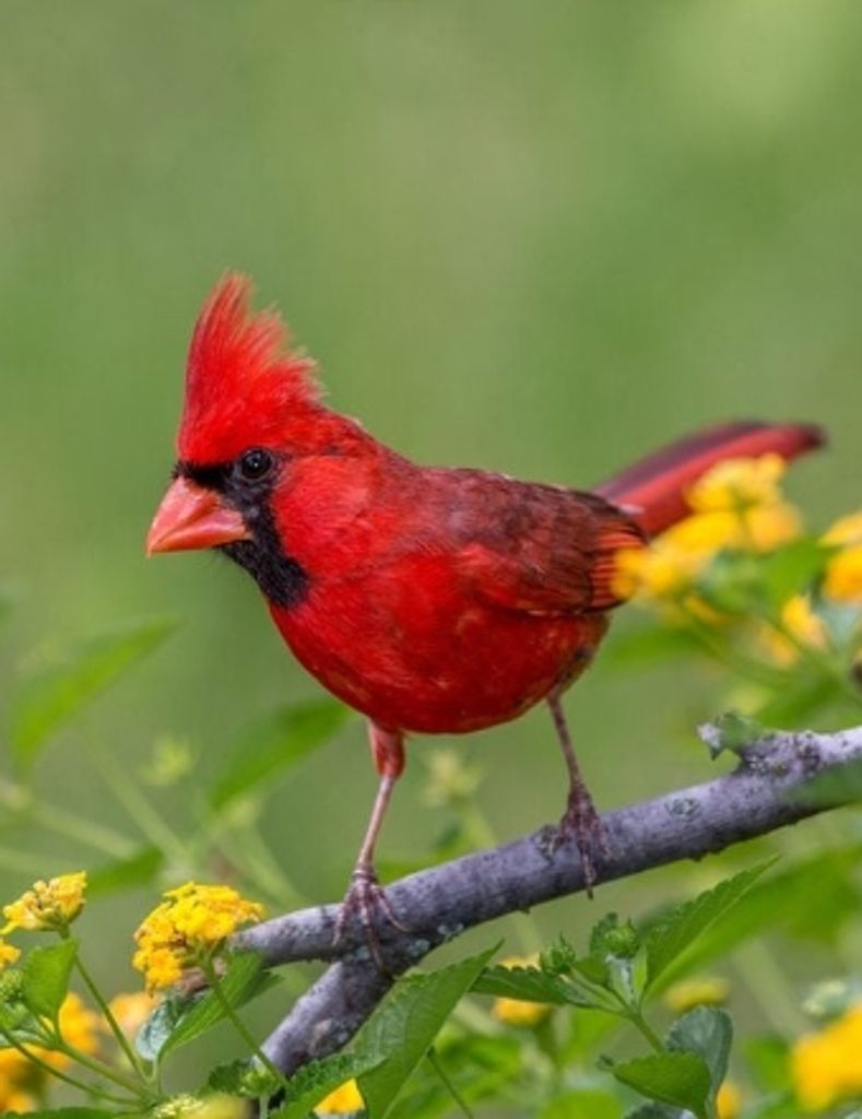 Lucy M Estes Profile Photo