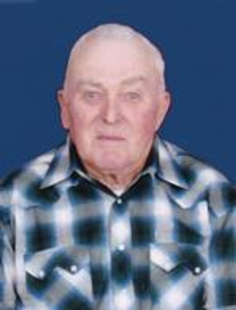 Dean M Wilson Profile Photo