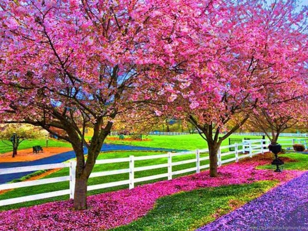 Mary Curry Profile Photo