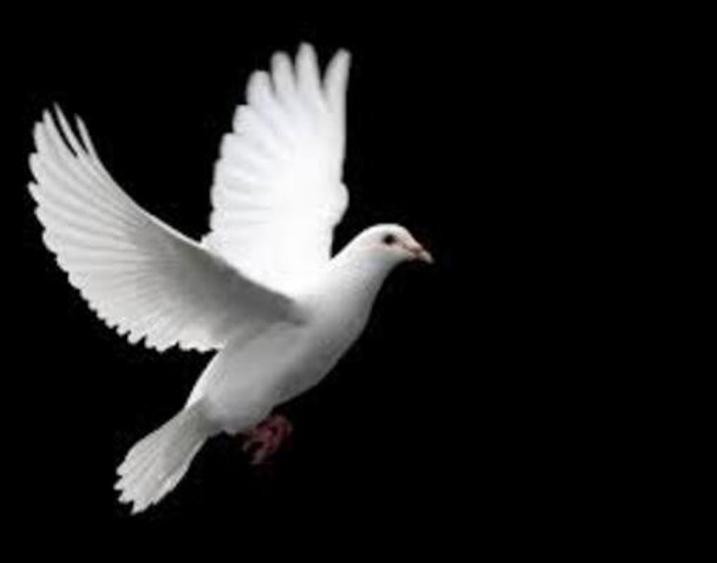 Vera Quimbley Gilbert