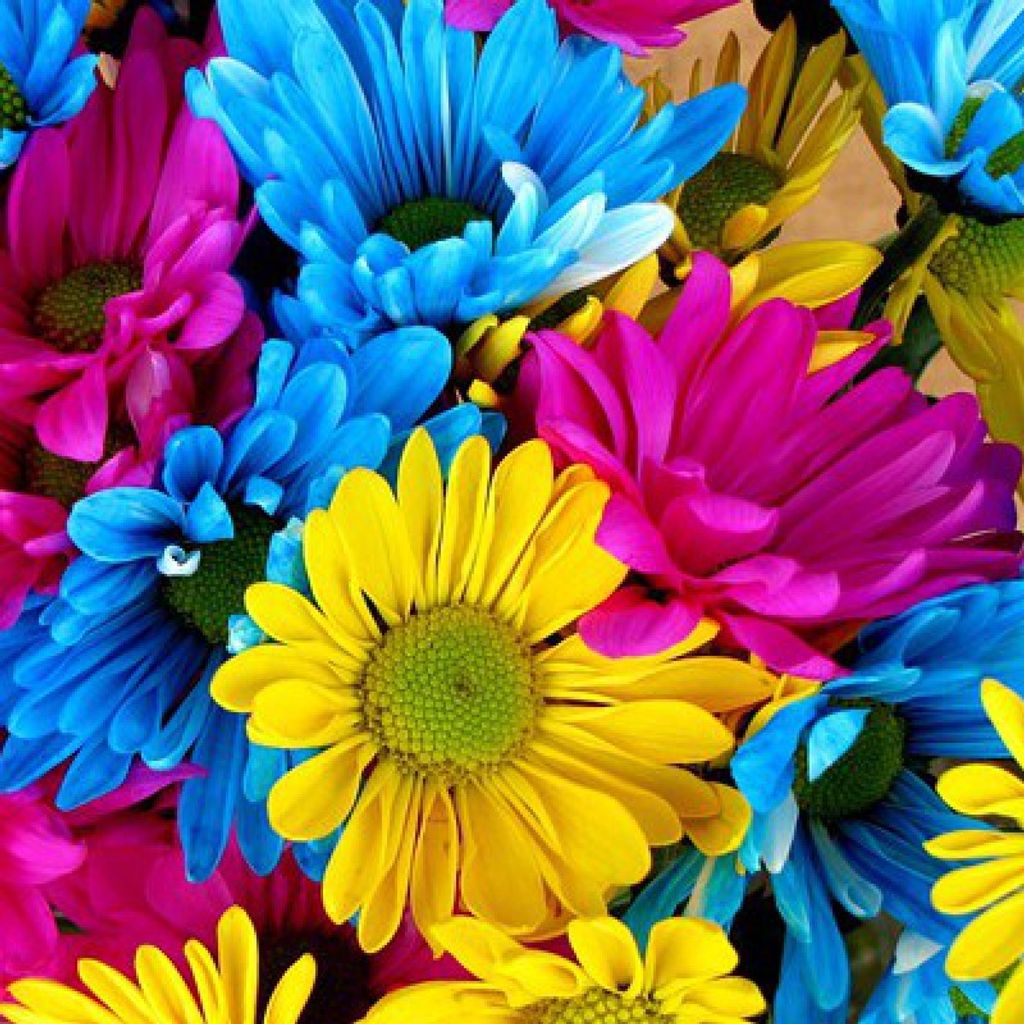 Trudy Lyn Beahm Profile Photo