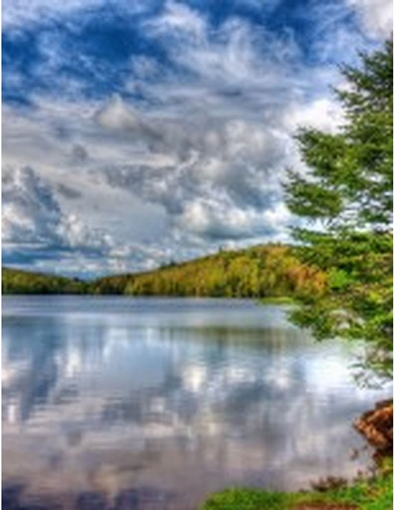 Richard Marvin Terry Profile Photo