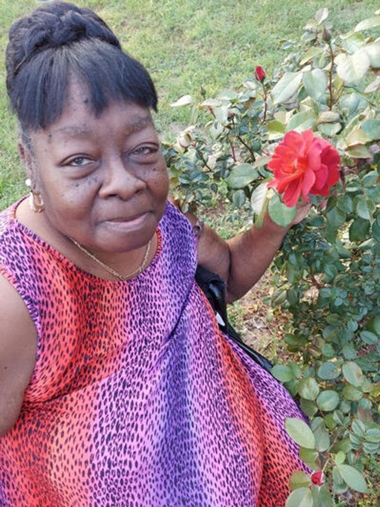 Rosie Mae Thibodeaux Profile Photo