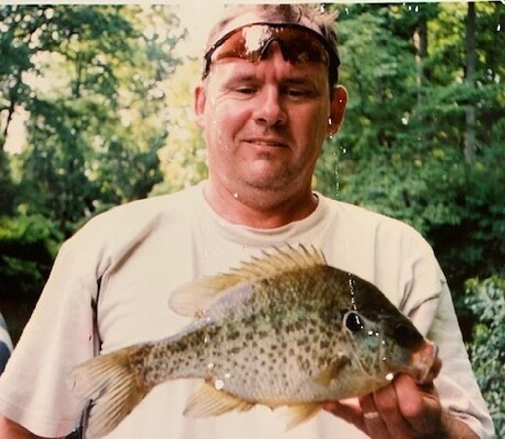 Dodd Brooks