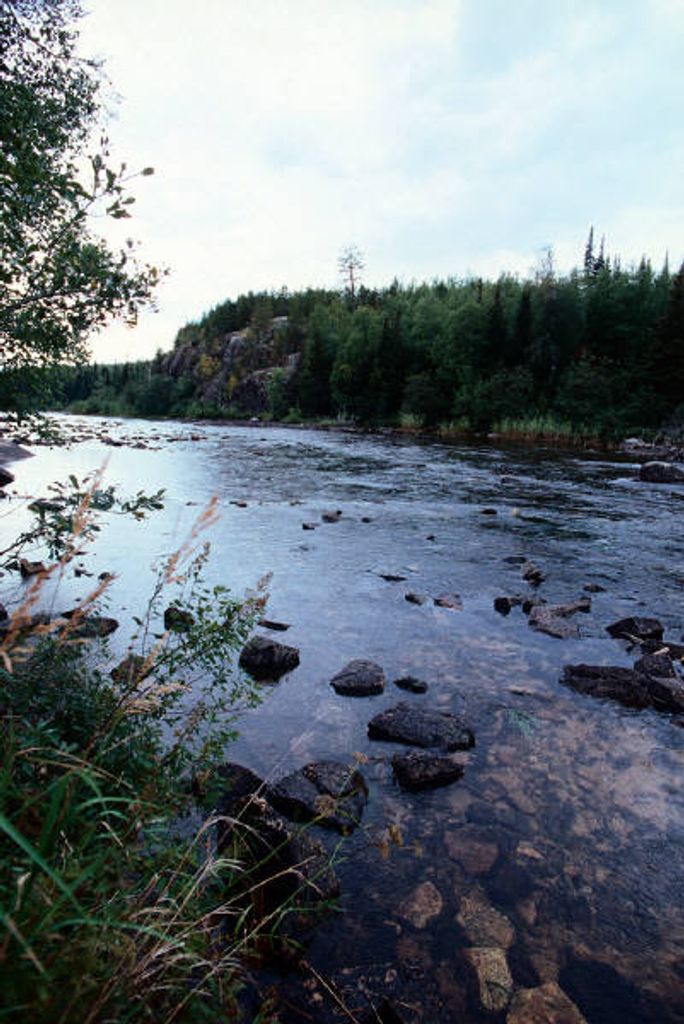 Larry Michael Stephenson