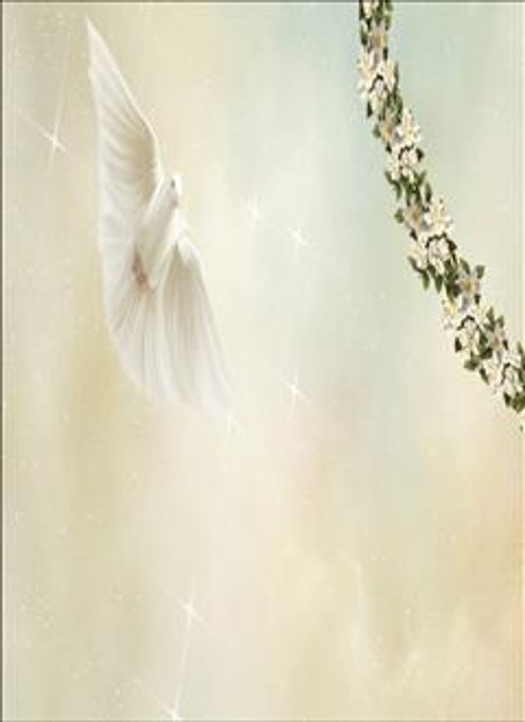 Janice Wilder Smith Profile Photo