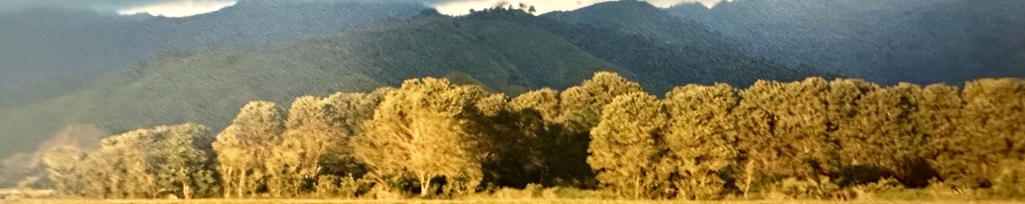 Cover for Maureen Ann Barlow's Obituary