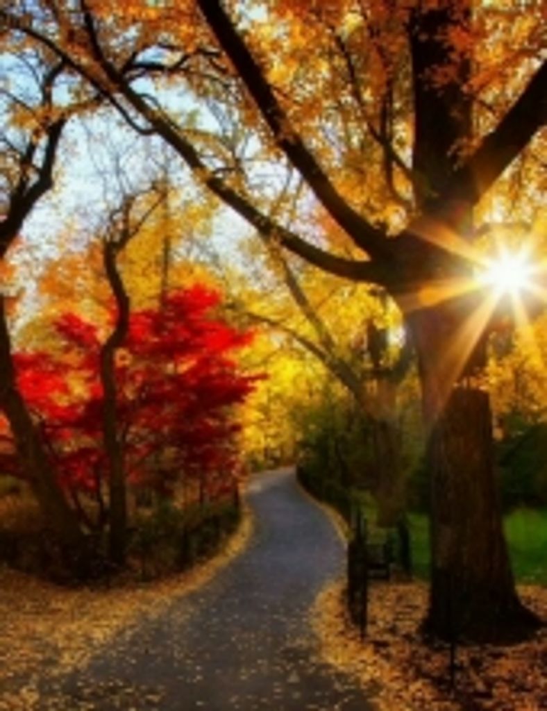 Daniel William Thacker