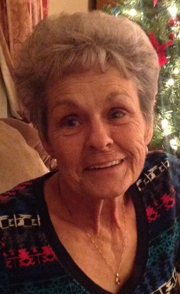 Cindy L. (Craig)  Oberholtzer