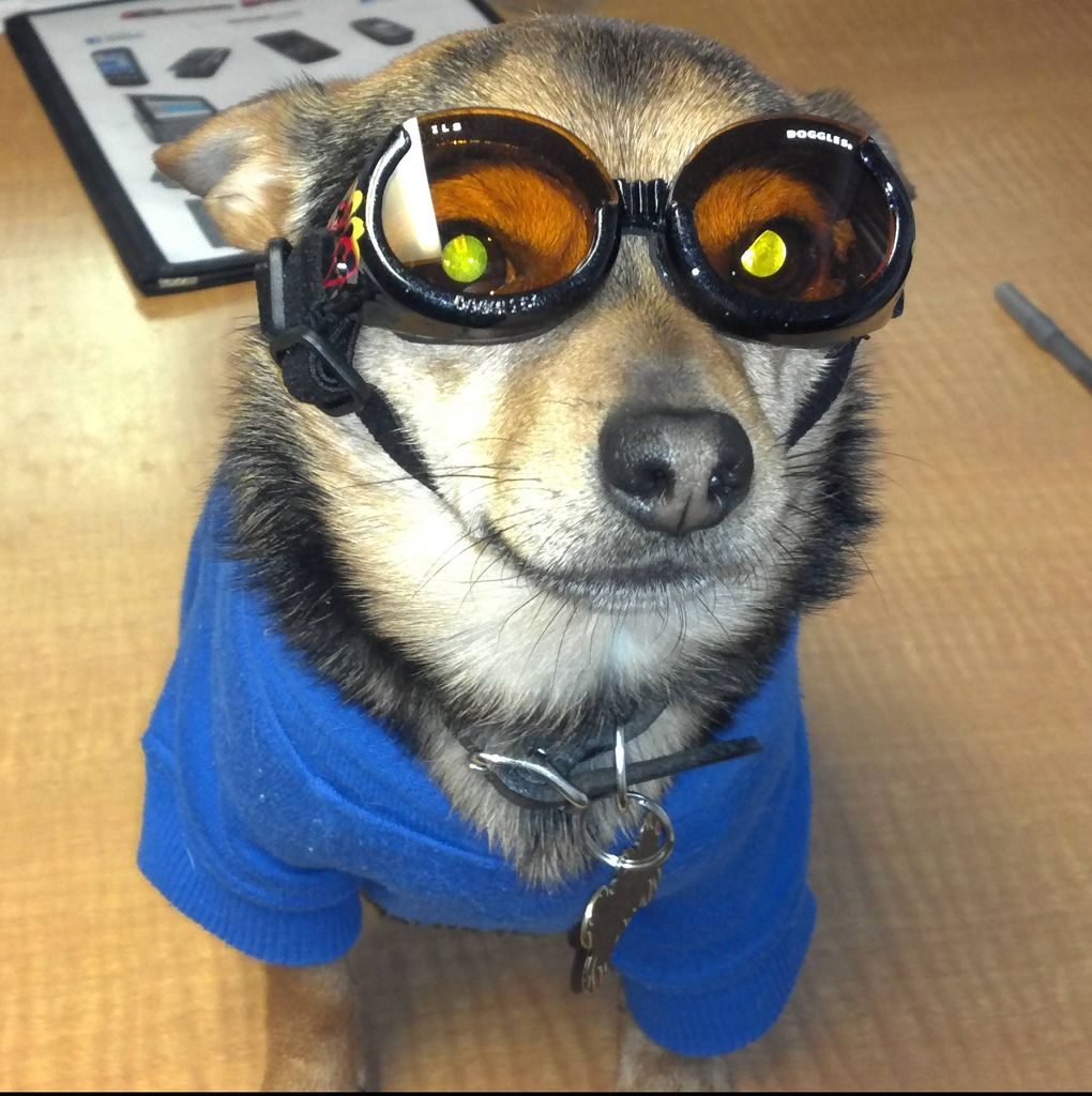 Toby Profile Photo