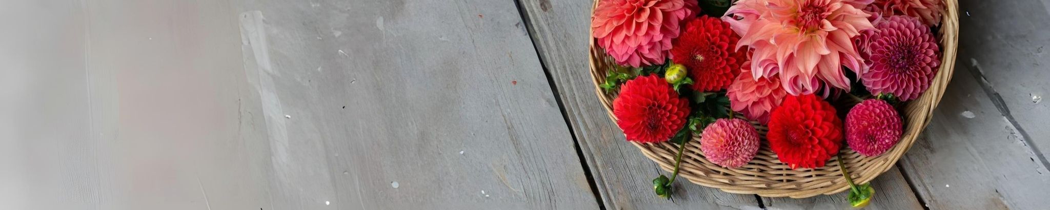 Cover photo for Betty Lamons's Obituary