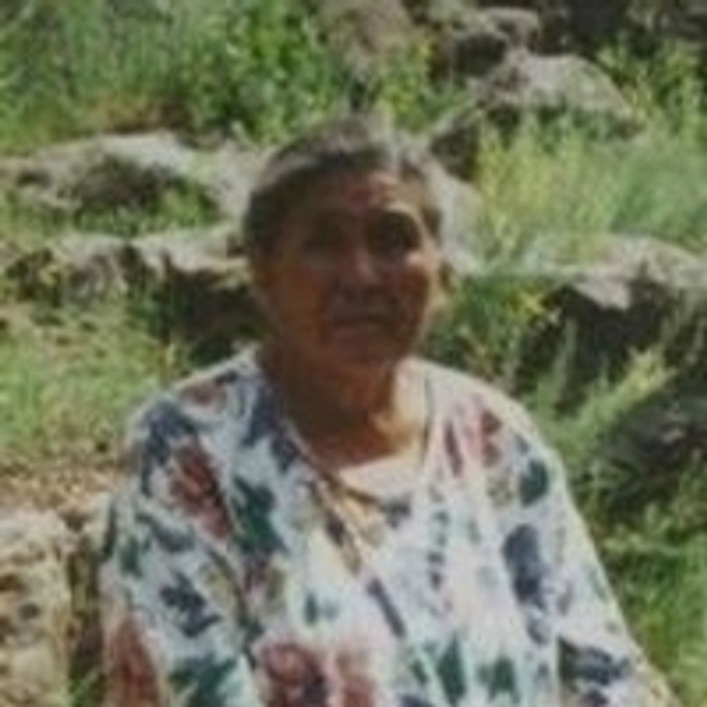 Dena Ann Massey Profile Photo