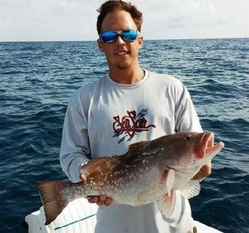Jason P Risch