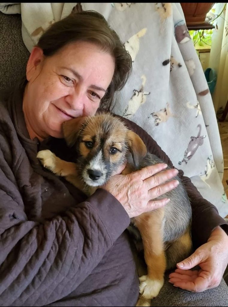 Dixie M Preslar Profile Photo