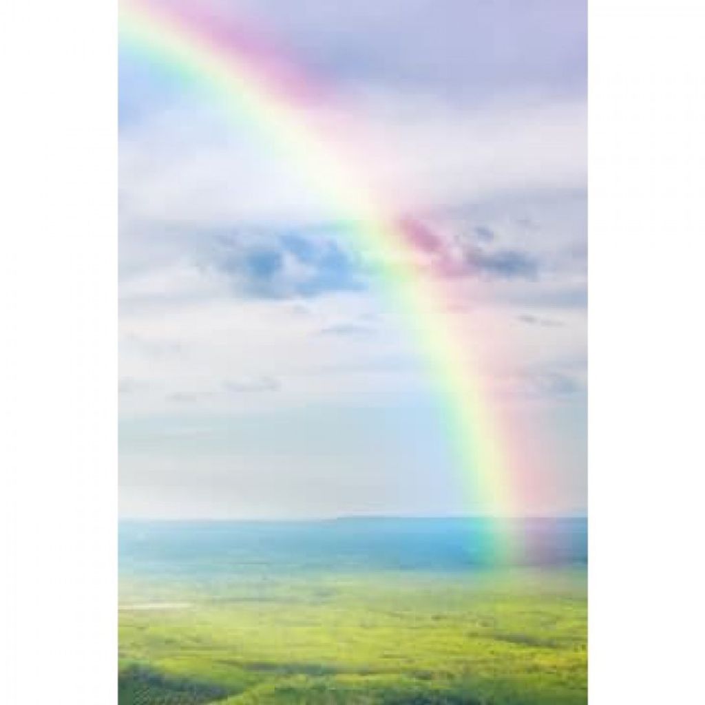 Ronda Sue Lembke Profile Photo