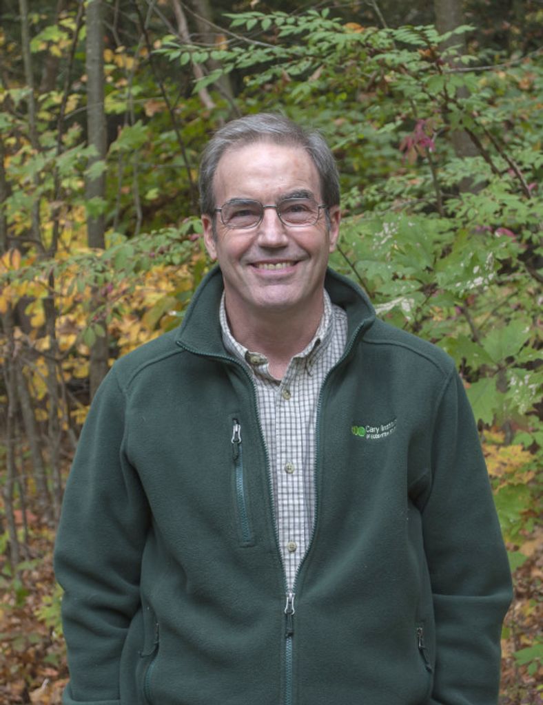 Gary M. Lovett Profile Photo