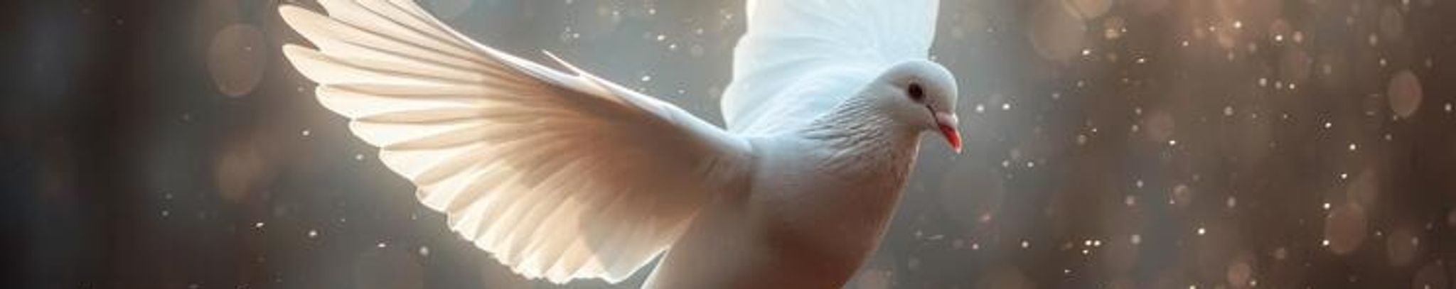 Cover photo for Irma Romero's Obituary
