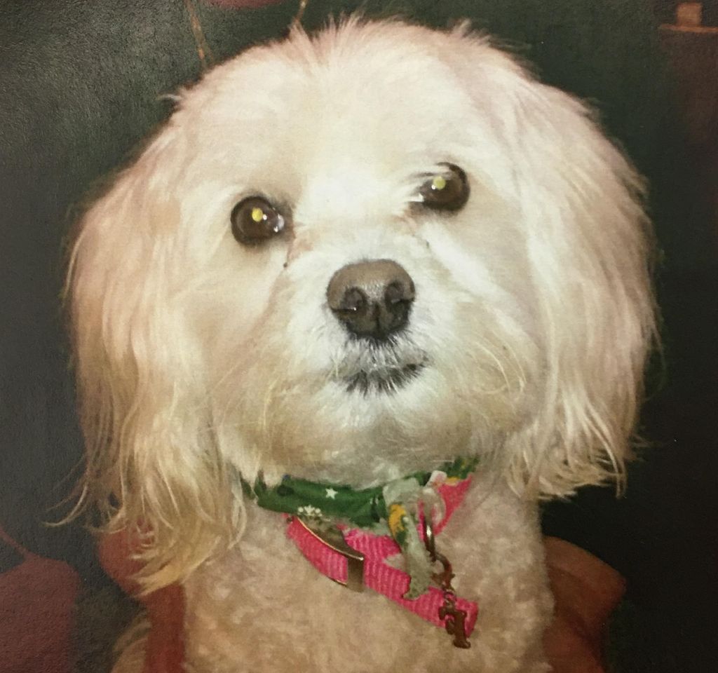 Zsazsa Profile Photo