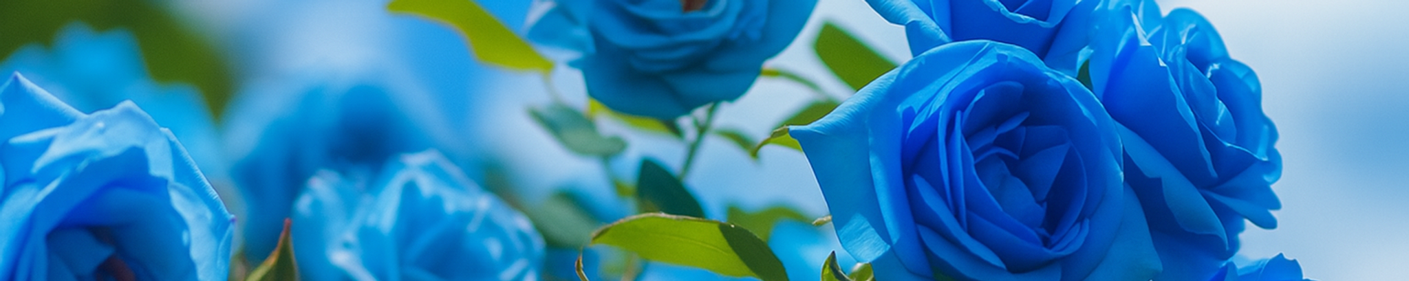 Cover photo for Serena Kay Jinkins's Obituary