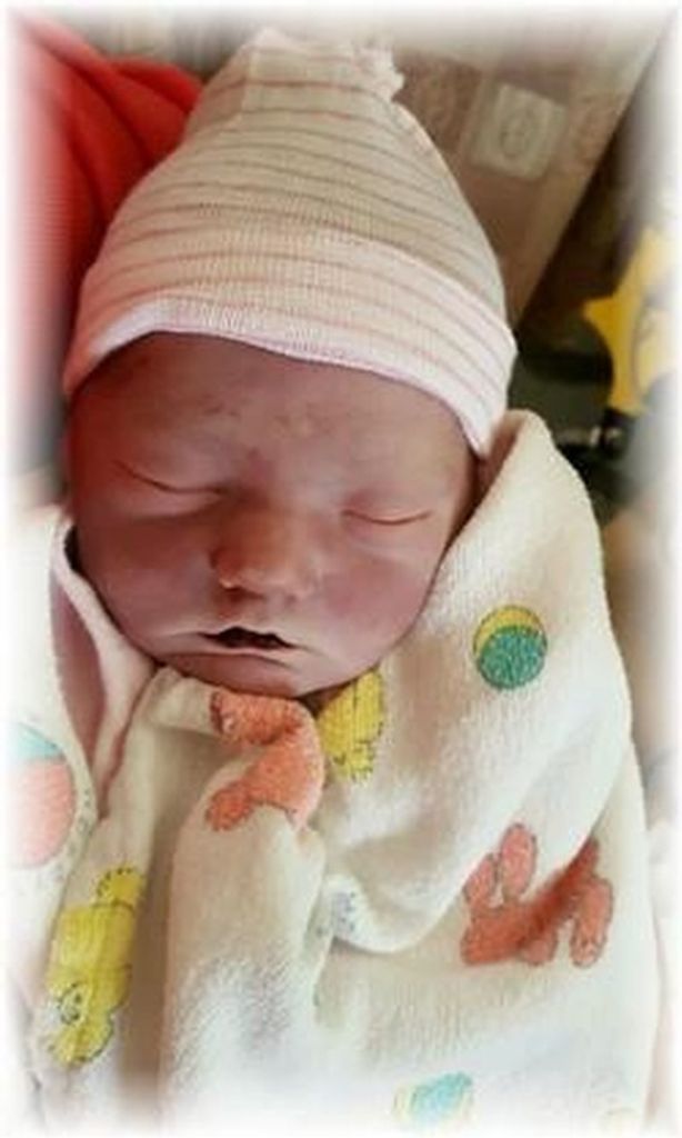 Savannah Grace Webster Profile Photo