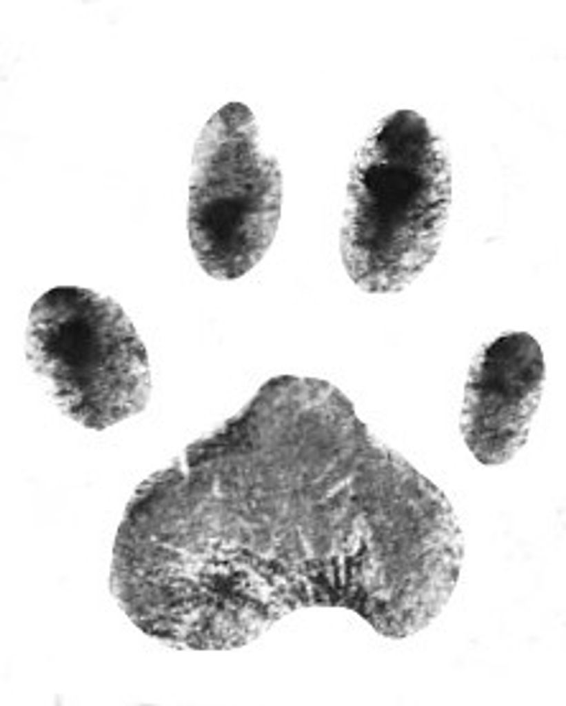 Ginnie Duke Profile Photo