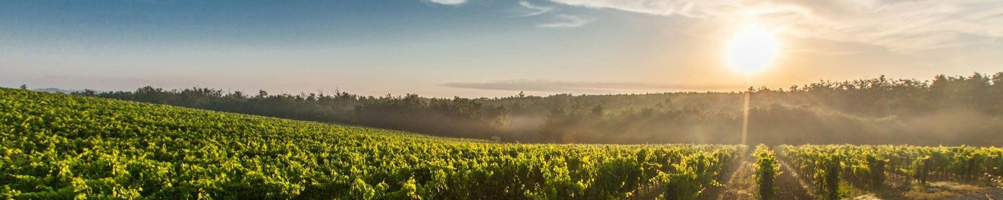 Cover for Hubert P. Ludwig's Obituary