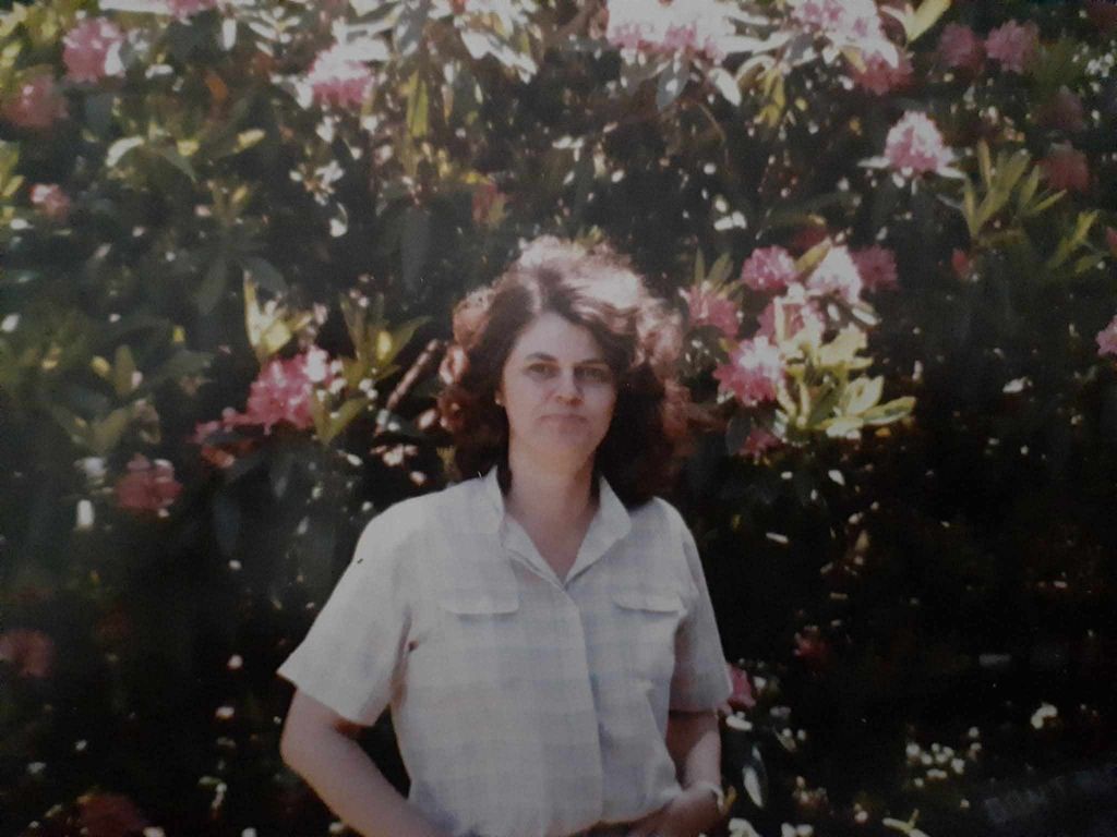 Phyllis Kollmar Profile Photo