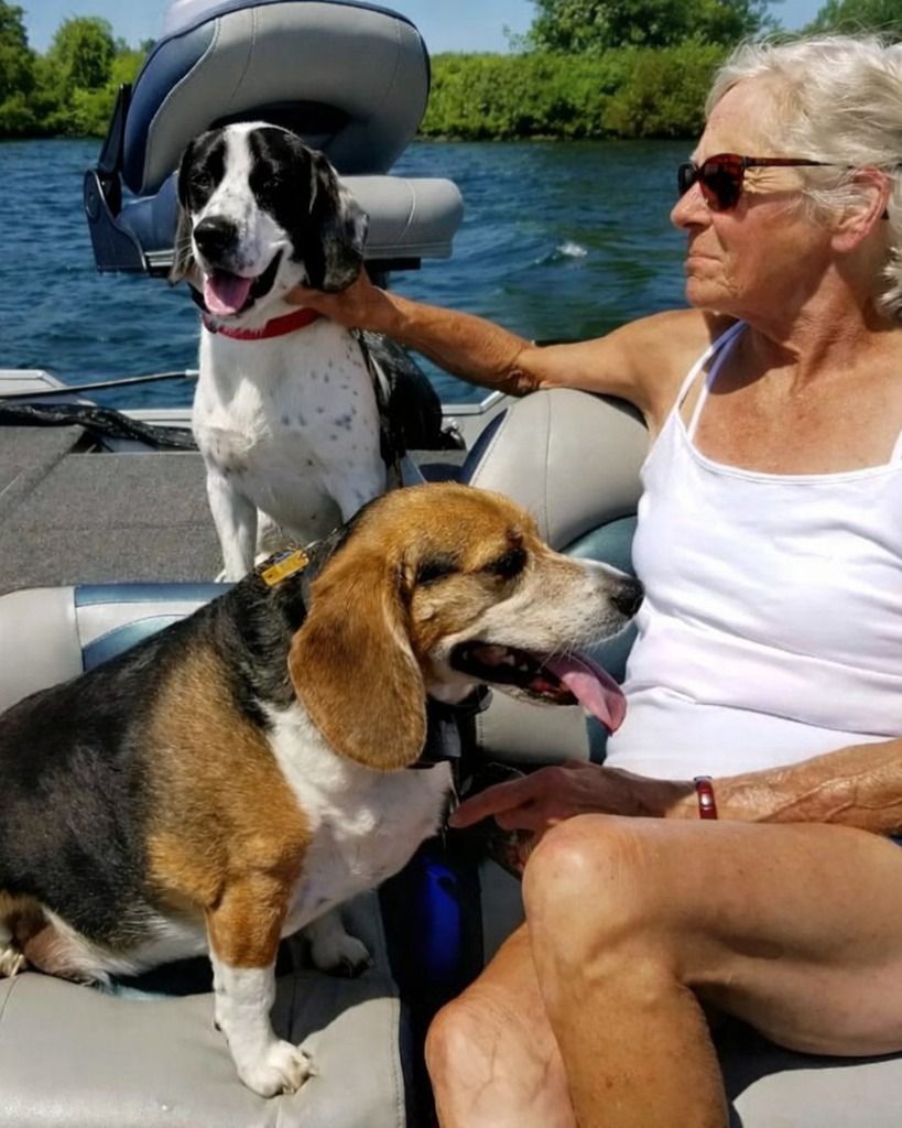 Gail L Dziak Profile Photo