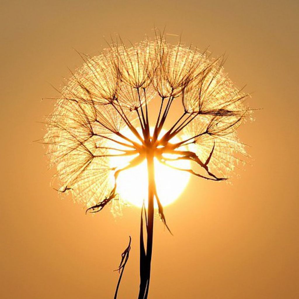 Robert Joseph Appel, Jr. Profile Photo