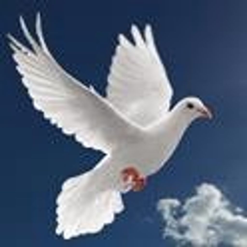 Jack William Woolsey